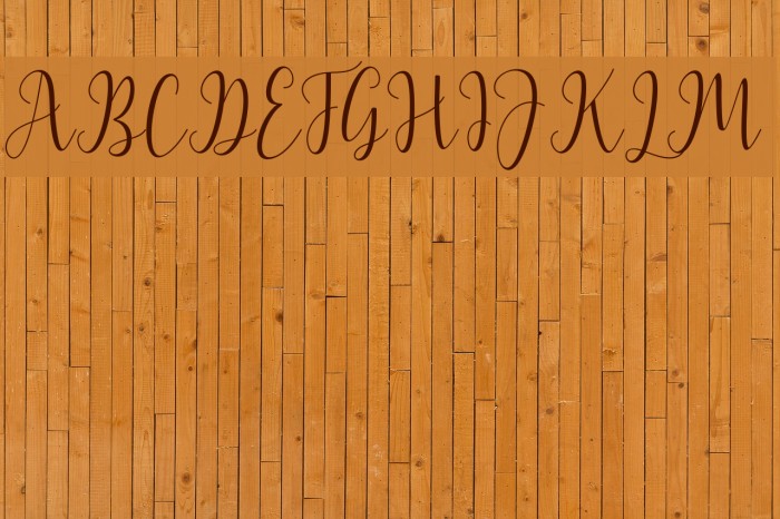 LatashaScript Font examples