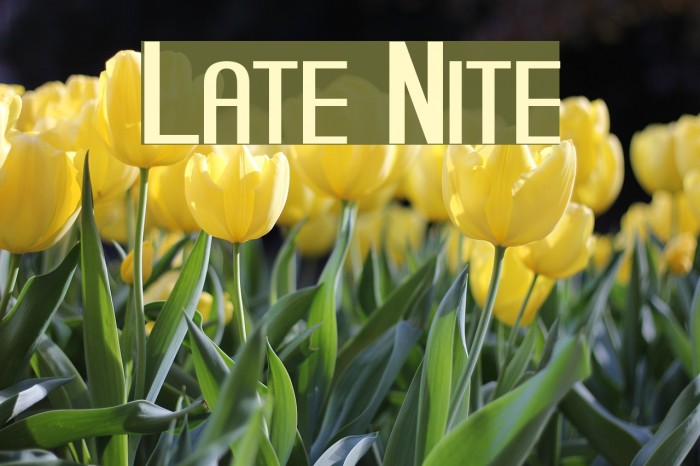 Late Nite Font examples