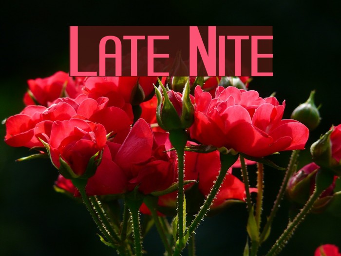 Late Nite Font examples