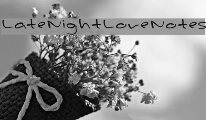 LateNightLoveNotes Font examples