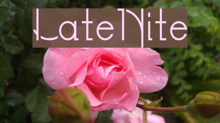 LateNite Font examples