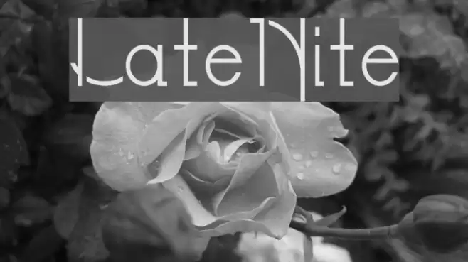LateNite Шрифта examples