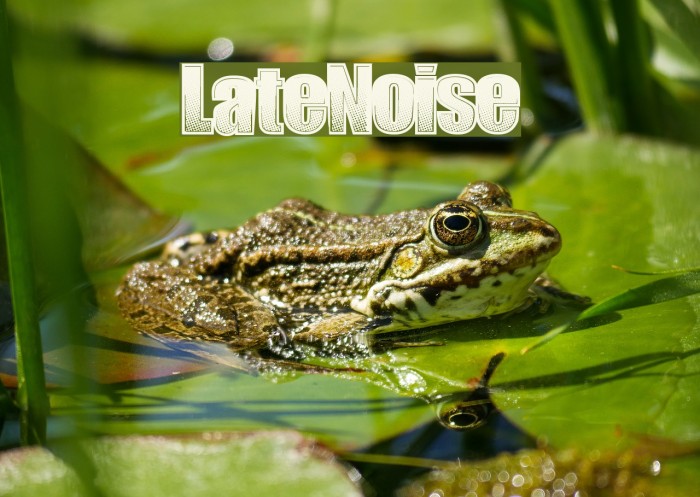 LateNoise Font examples