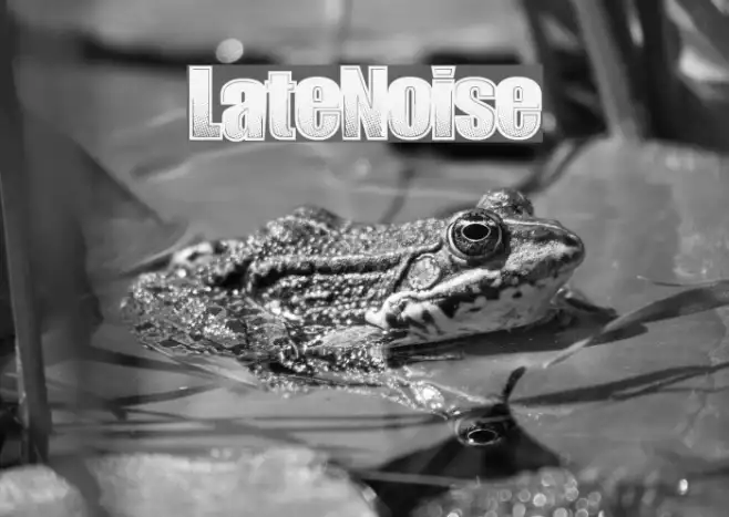 LateNoise Example 3