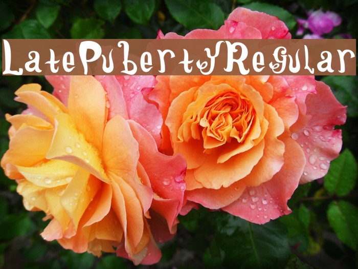 LatePuberty-Regular Font examples
