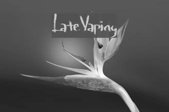 LateVaping Example 1