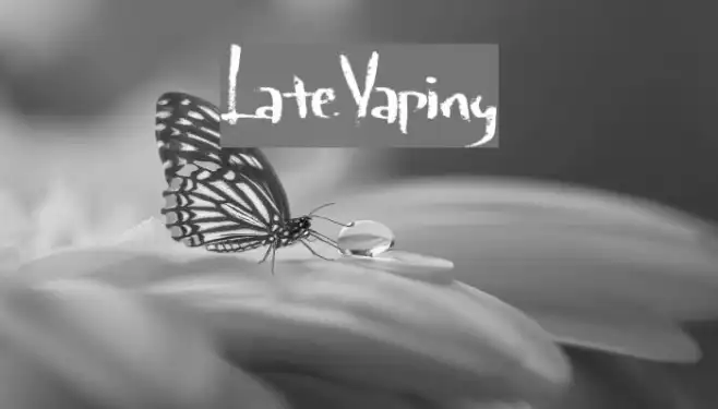 LateVaping Example 2