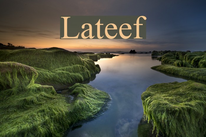 Lateef Font examples