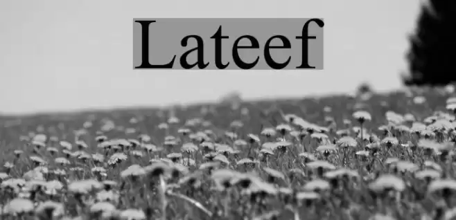 Lateef Font examples