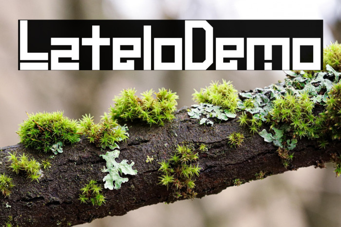 Latelo-Demo Example 3