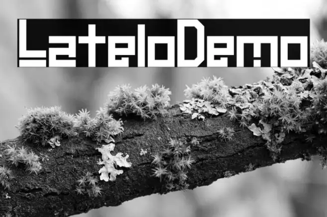 Latelo-Demo Example 3