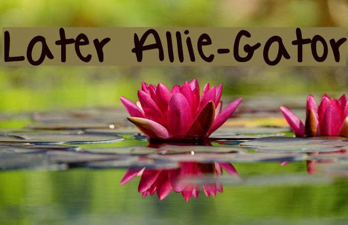 Later Allie-Gator Font examples