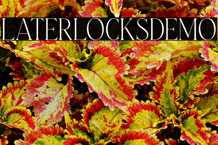 LaterlocksDEMO Example 1