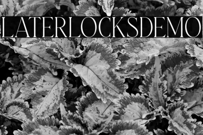 LaterlocksDEMO Example 1