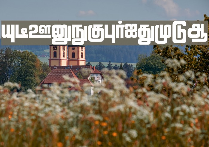 Lathangi Regular Example 1