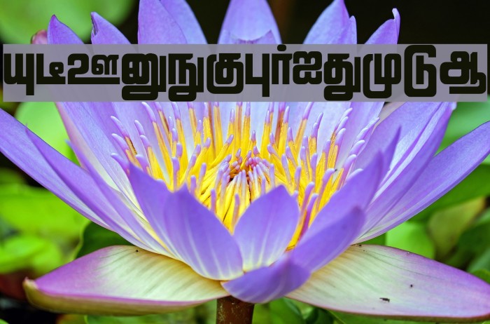 Lathangi Regular Example 2