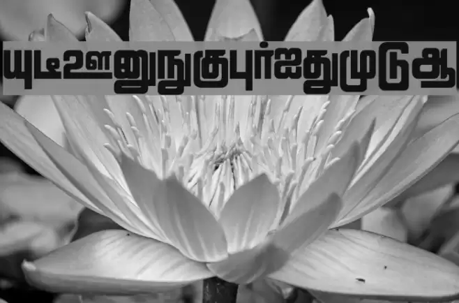 Lathangi Regular Font examples