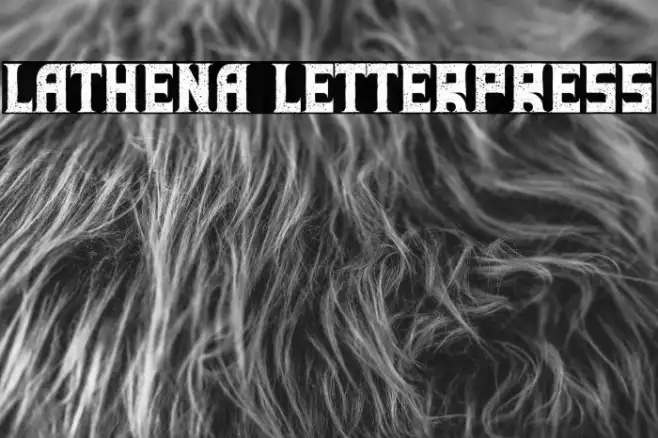 Lathena Letterpress Example 2