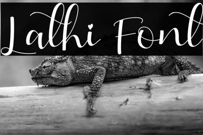 Lathi Example 3