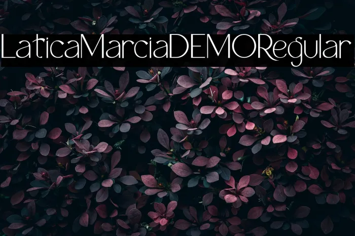 Latica Marcia DEMO Regular Example 1