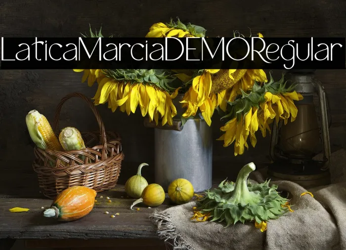 Latica Marcia DEMO Regular Example 2