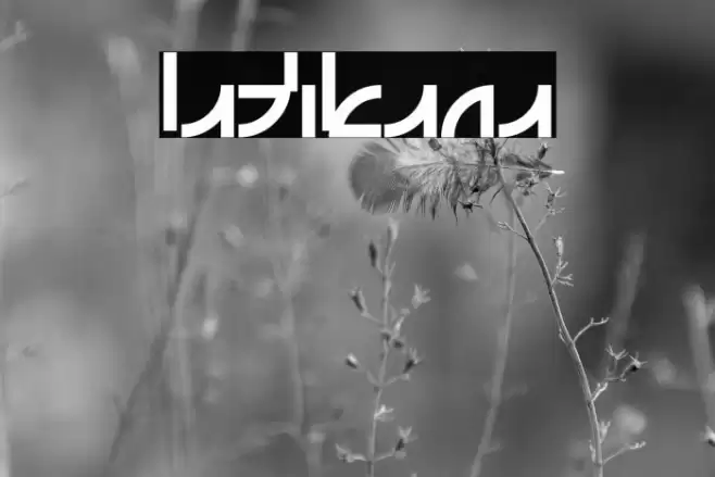 Latikana Font examples