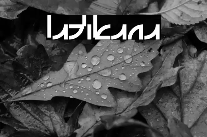 Latikana Font examples