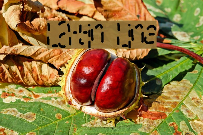 Latin Line Font examples