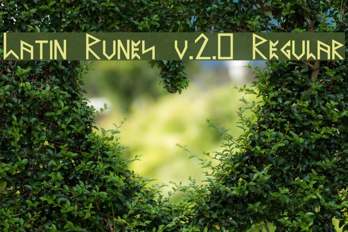 Latin Runes v.2.0 Regular Example 2