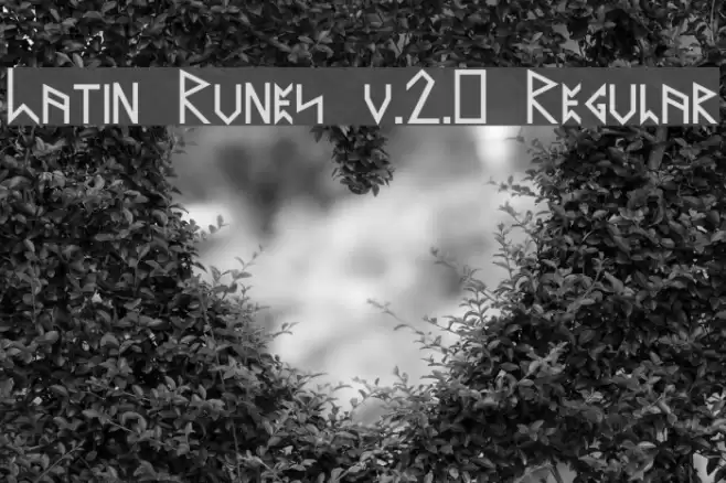 Latin Runes v.2.0 Regular Font examples