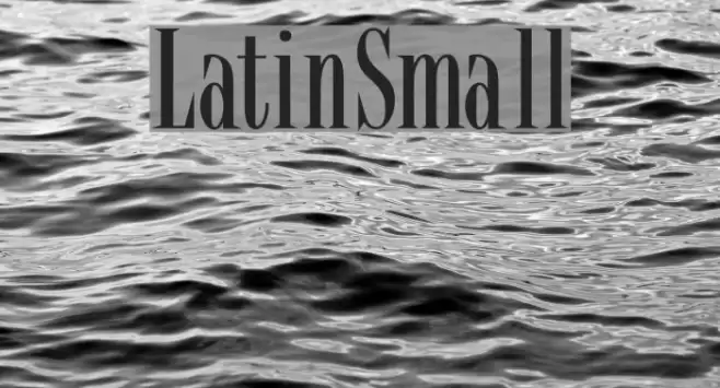 LatinSmall フォント examples