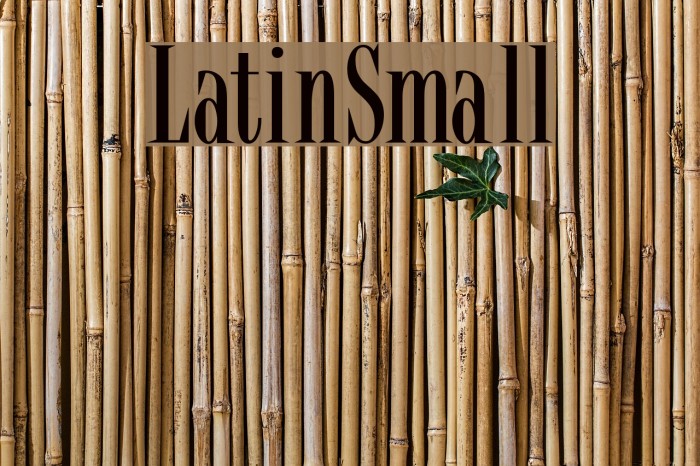 LatinSmall Font examples
