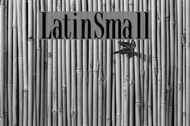 LatinSmall フォント examples