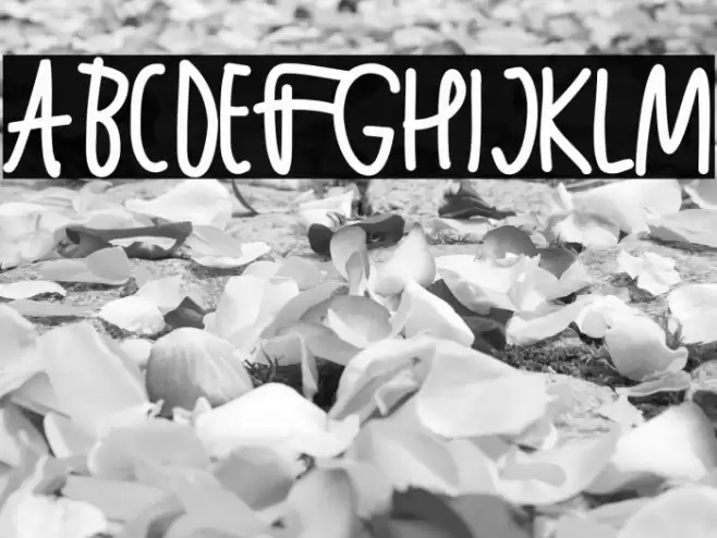 Latina Font examples