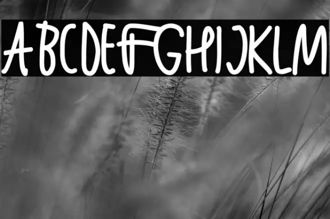 Latina Font examples