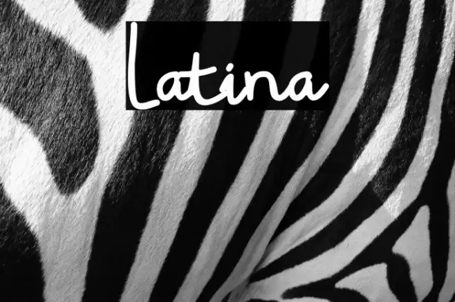 Latina Font examples