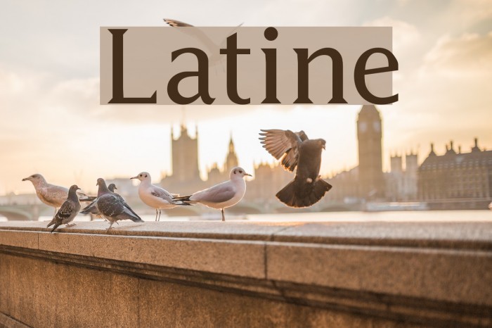 Latine Font examples