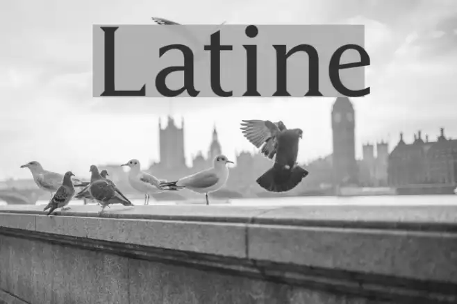 Latine Example 1