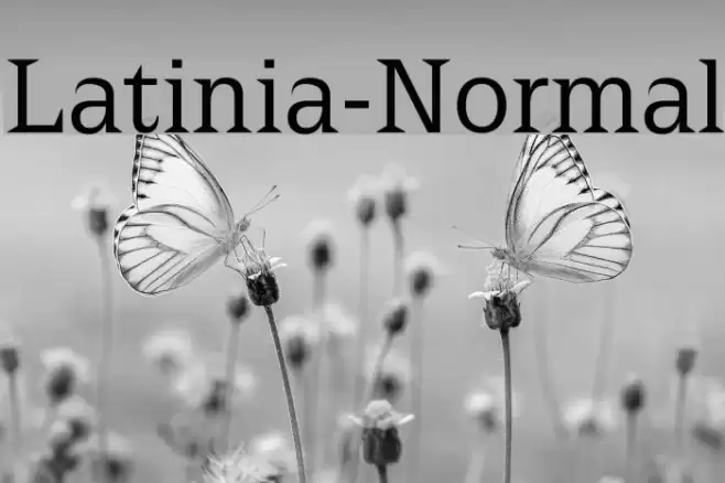 Latinia-Normal Caratteri examples