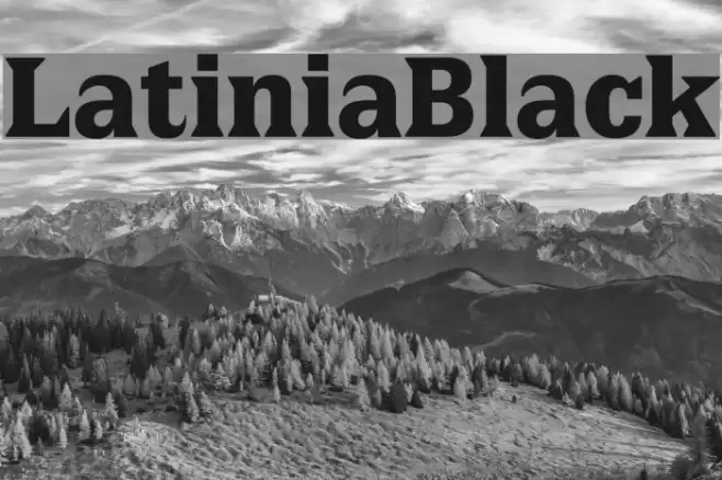 LatiniaBlack Шрифта examples