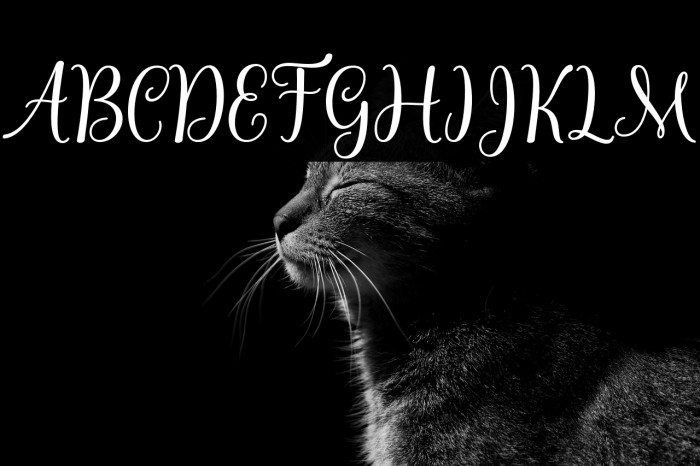 LatishaScript Example 1