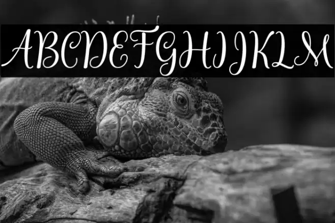 LatishaScript Font examples