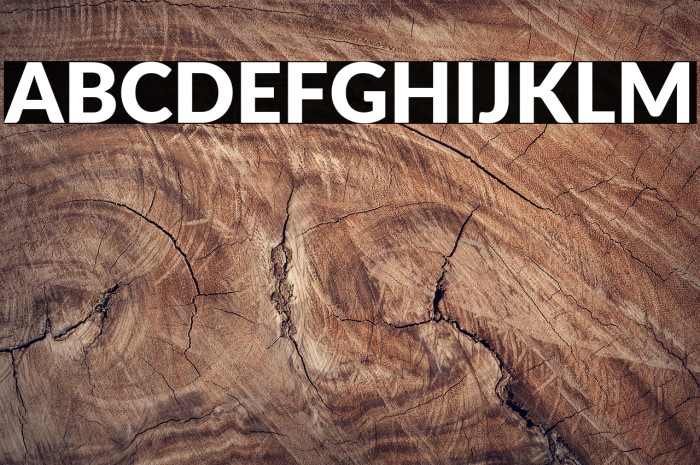 Lato Black Example 3