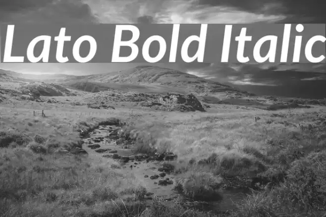 Lato Bold Italic Example 1