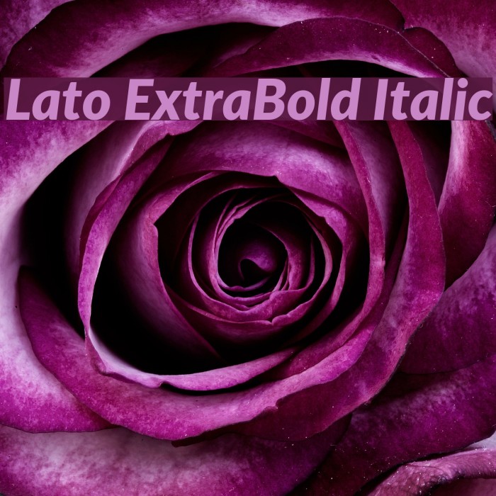 Lato ExtraBold Italic Font examples