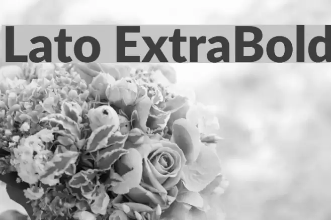 Lato ExtraBold Font examples