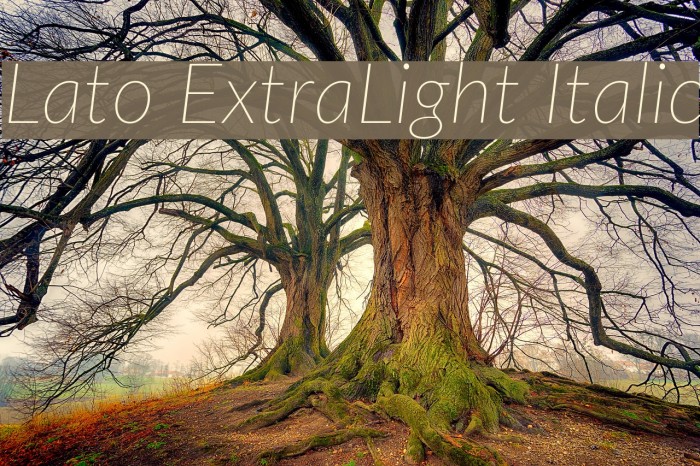 Lato ExtraLight Italic Font examples