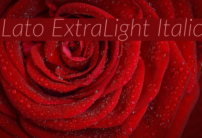 Lato ExtraLight Italic Font examples