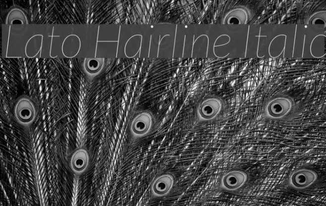 Lato Hairline Italic Font examples