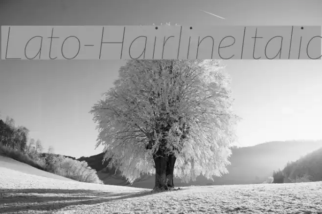 Lato-HairlineItalic Font examples
